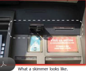 What a skimmer looks like